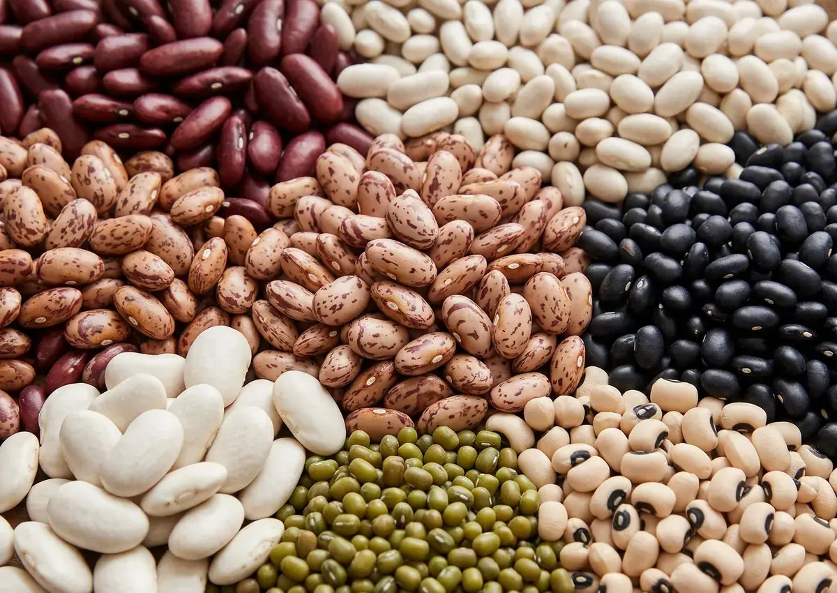 Pulses and beans exported by Rudra International